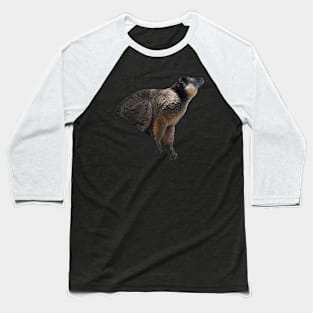 Collared Lemur Baseball T-Shirt